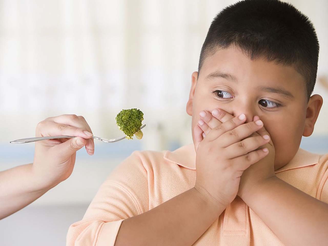 Chế độ ăn cho trẻ bị béo phì cần được tăng cường thêm rau xanh